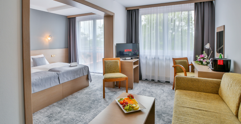 Hotel room featuring a single bed, seating area, desk and chair, a TV showing Netflix, and a fruit platter on a coffee table by large windows with sheer curtains.